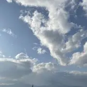 ザクの画像