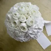 Aimi