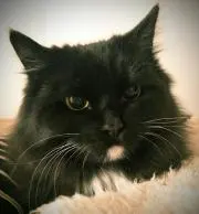 ririの画像