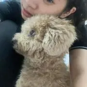 トム