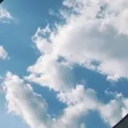 いずの画像
