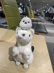 まーほ(プロフ必読お願いします)の画像