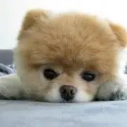 けいの画像