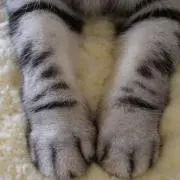 23◎できればプロフィール読んでくださいの画像