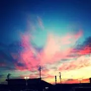 ゆたしんの画像