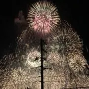 ムートンの画像