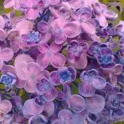 SUMIRE