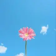 かずみの画像