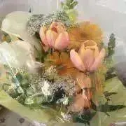 flowerdaysの画像