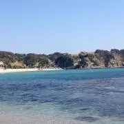 レオギウス(^_^)v