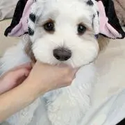 ゆん