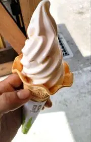 シャイン