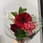 みなまの画像