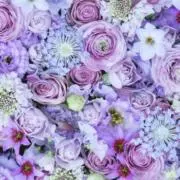 うずらの画像
