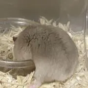 mm...の画像