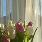 ︎✿の画像