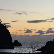 Wins777の画像