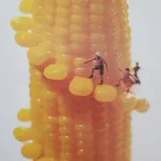 nk834の画像