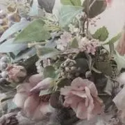 ⭐︎みるきー⭐︎