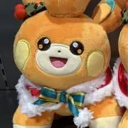 ぴのの画像