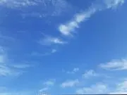 fineの画像