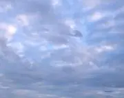 ようこの画像