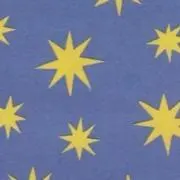 柳沢翔太の画像