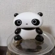 HARU YOKOI