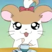 おこめ 即購入可の画像