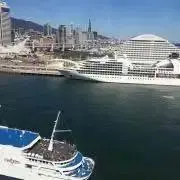 まこ