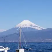 Butterflies of Peru ペルーの蝶類 Vol. 1 - メルカリ