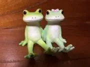 ぴょんの画像