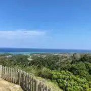 がーの画像