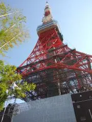 ひろちーの画像