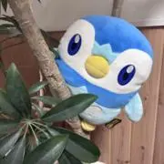 ちげの画像