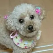ナムヲの画像