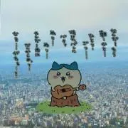 まりまりの画像