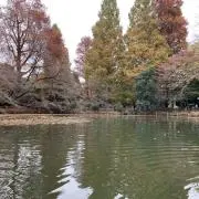 となりのとなりのトトロの画像