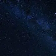 いちじくの画像