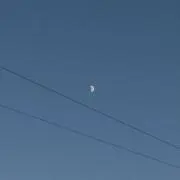 Sの画像