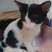 ひでき