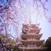 Posの画像