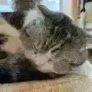 あさ＊プロフご一読くださいの画像