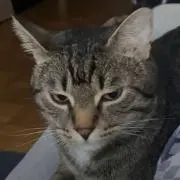 TKの画像