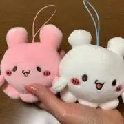 とっしーの画像