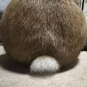 クオン_プロフィール必読の画像