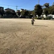 トートの画像