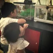 tommyの画像