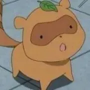 たぬきちの画像