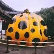 Jaminの画像